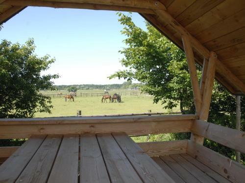 Familien-ferienwohnung Auf Einem Reiterhof