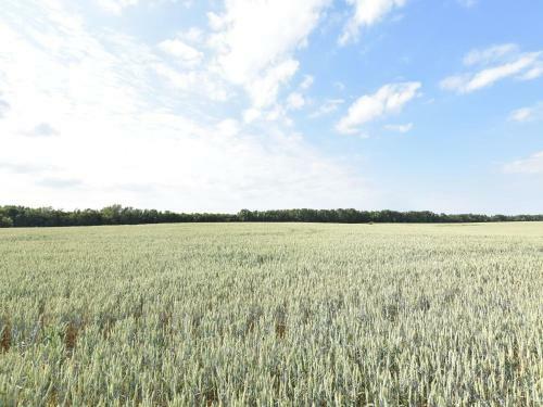 Apartamento Zum Breitling 7