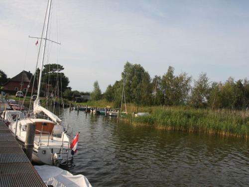 Gelb Strandl�ufer