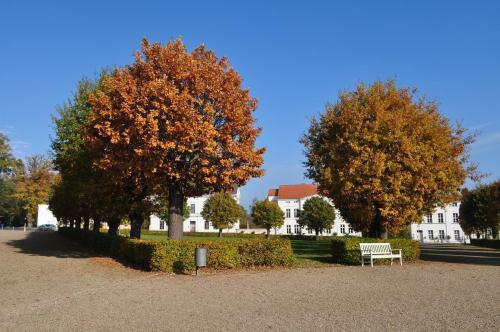 Apartamento Ferienhaus Louise