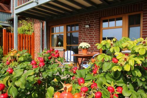Apartamento Ferienwohnung Sonnenblume