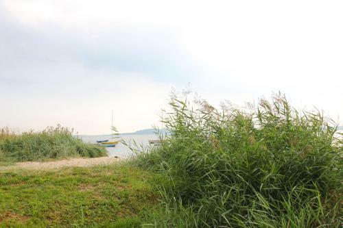 Apartamento Ferienwohnung Sonnenblume