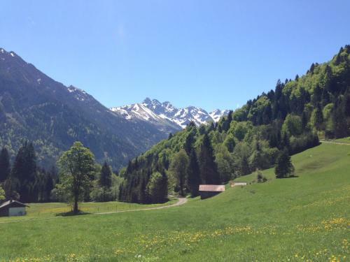 Apartamento Ferienwohnung Alpine Style