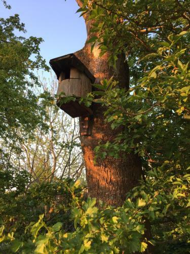 Ferienhaus Scholien