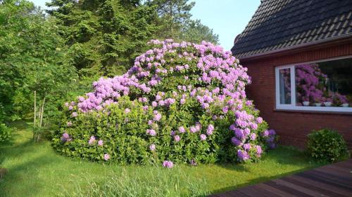 Ferienhaus *koggenh�s*