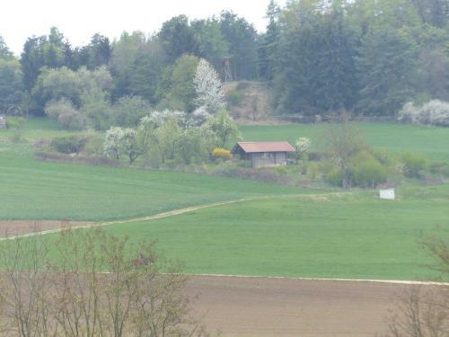 Apartamento Ferienwohnung Baierl