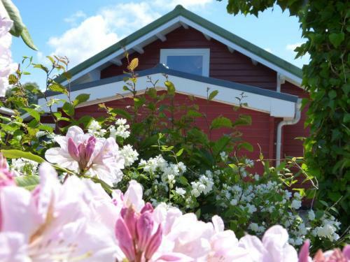 Ferienhaus Seestra_e 22