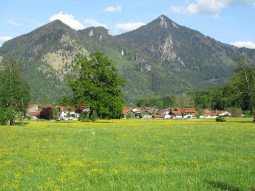 Apartamento Ferienwohnung Panaromablick