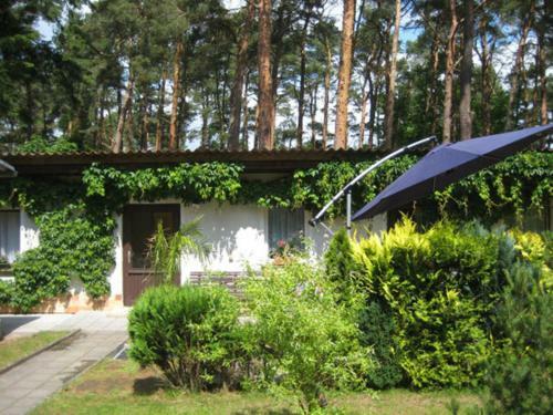 Ferienhaus Lubmin Vorp 1771