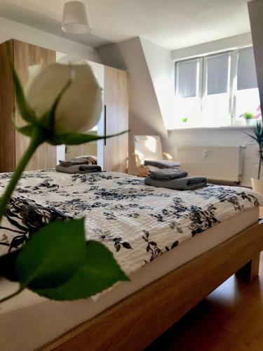Apartamento Arena Leipzig Zentrum