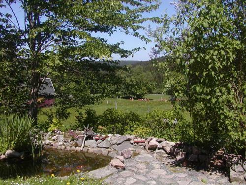 Apartamento Ferienwohnung Petzold