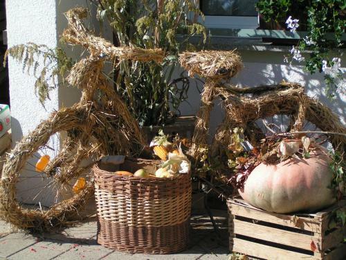 Apartamento Ferienwohnungen G�nther Hund