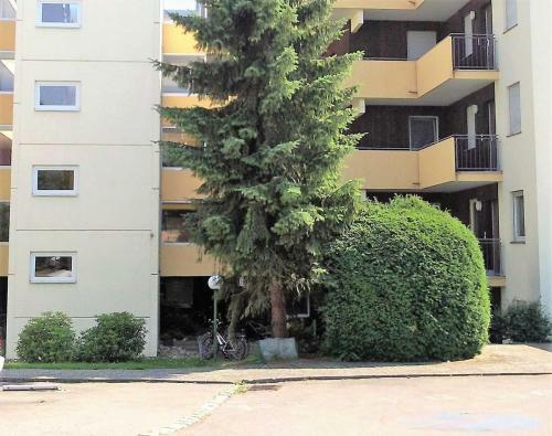 Apartamento Fewo Bodensee_sicht