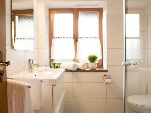 Apartamento Ahorn-appartements
