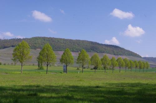 Apartamento Ferienwohnung Am Henkelsee