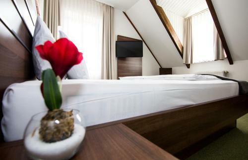 Altstadt Hotel