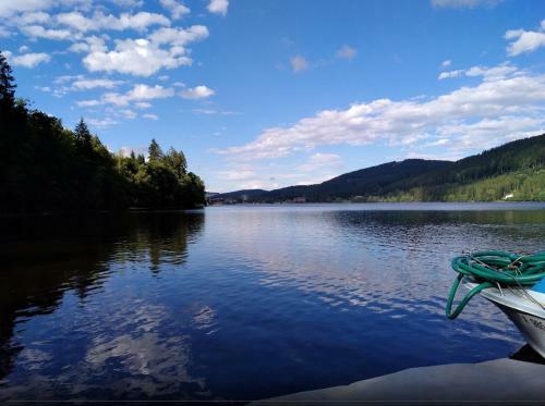 Apartamento Titisee Haus Vogelnest