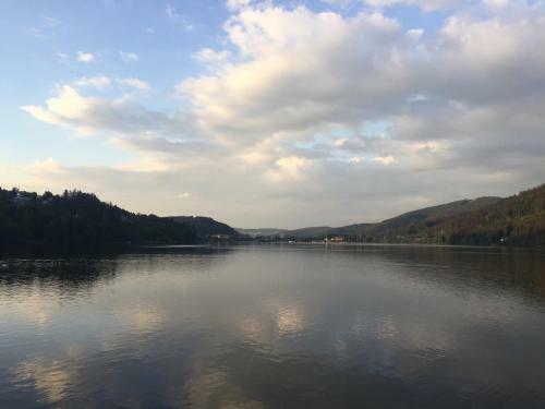 Apartamento Titisee Haus Vogelnest