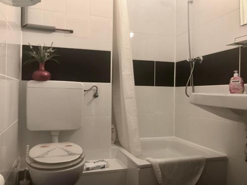 Profair Apartments Hannover (mittelfeld Area)