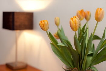 Gildors Hotel Atmosph�re