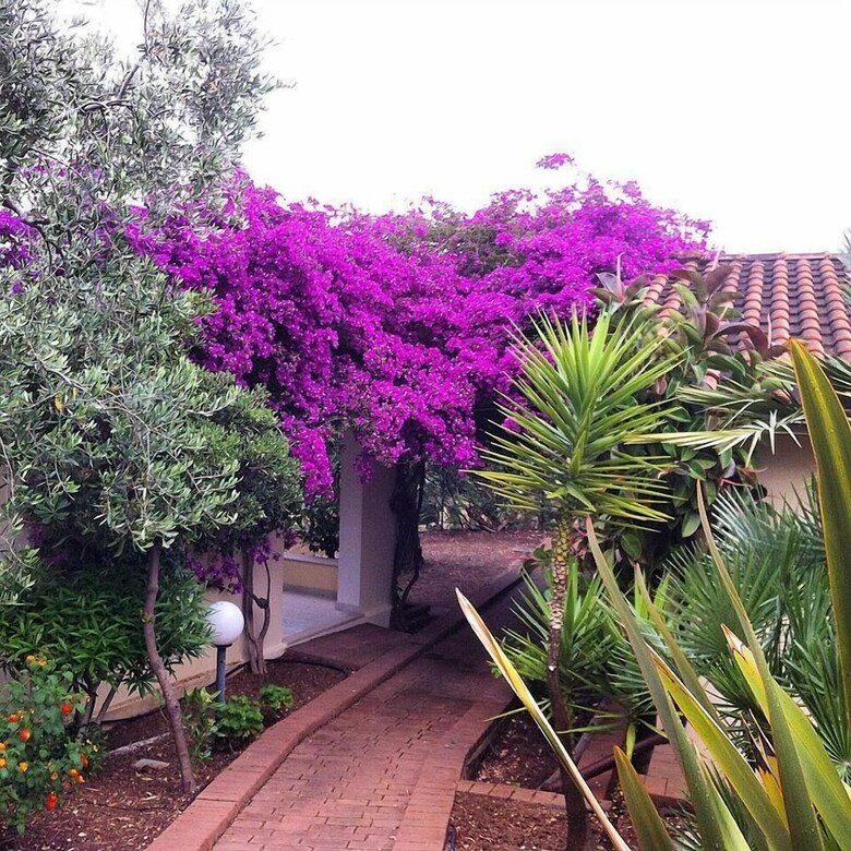 Hotel Villaggio Turistico Defensola
