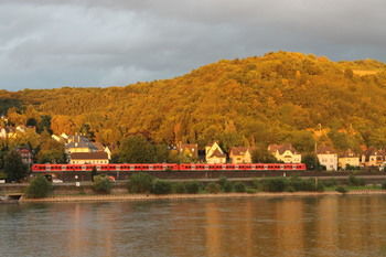 Rheinhotel Arte