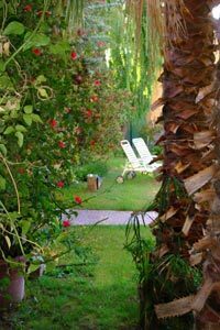 Apart Hotel Mau�