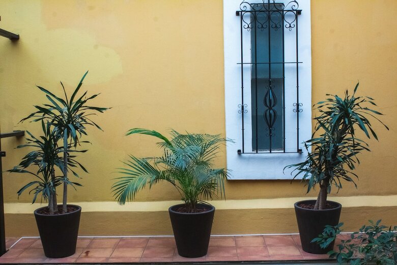Hotel Villa Vera Oaxaca