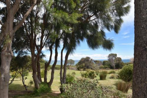 Freycinet Sanctuary @ Oyster Bay