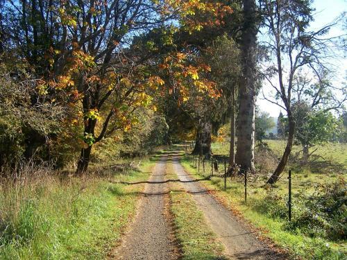 Agroturismo Drumreagh Bed & Breakfast Cabins