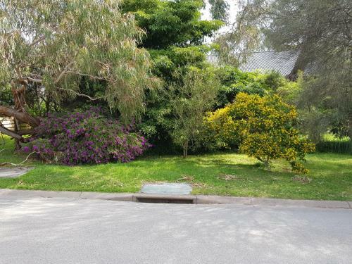 Dromana Holiday Beach House