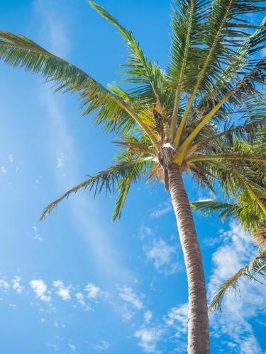 Apartamento Salt Yeppoon
