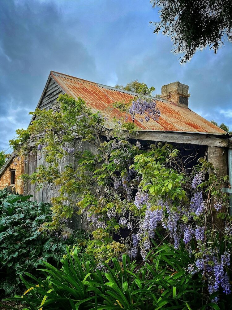 Bed & Breakfast Cherry Plum Cottages