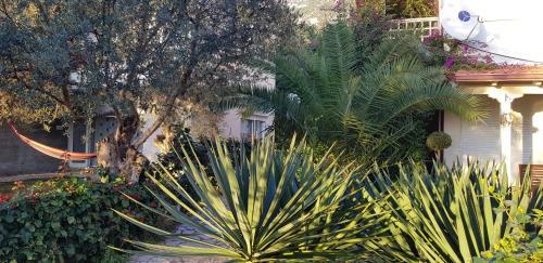 Hotel Olives Residence