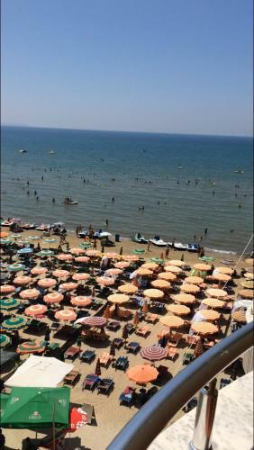 Gimi's Apartments