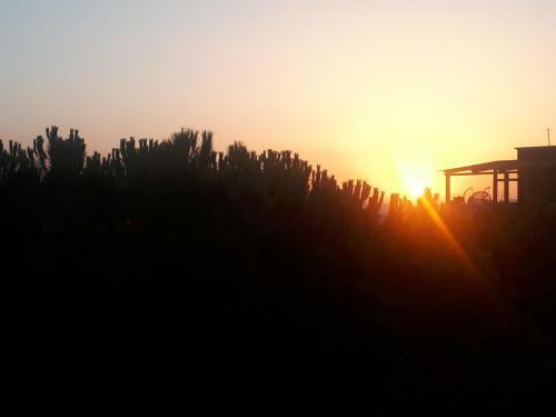 Boshku Apartament