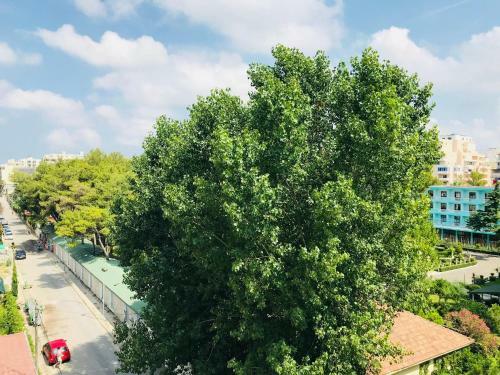 Leo Apartament