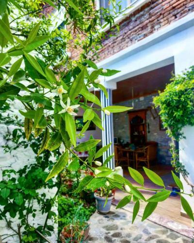Private Apartment Elbasan Historic Center