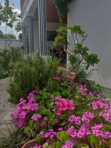 Private Apartment Elbasan Historic Center