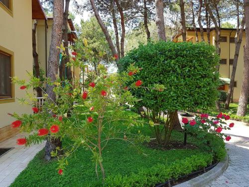 Apartamento Holiday Villa In Beachfront-029