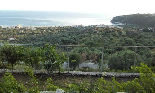 Hostal Niva