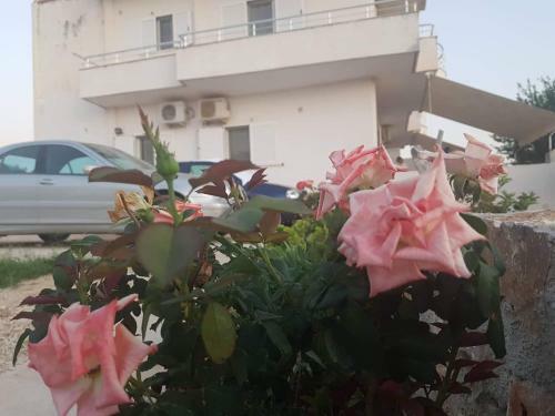 Leka's Apartments