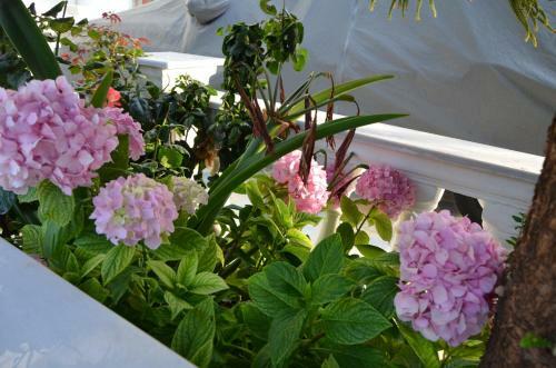 Apartamentos Garden Villa Veli