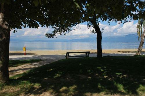 Vacation Apartment With Lake View