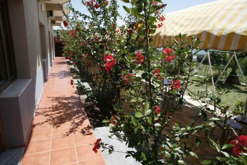 Apartamento Xhoraj Villa Radhime