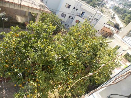 Ylli Apartments Saranda