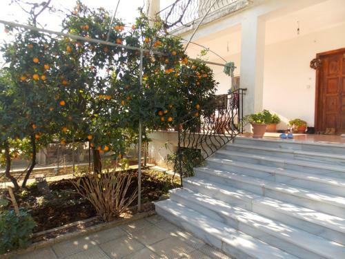 Ylli Apartments Saranda