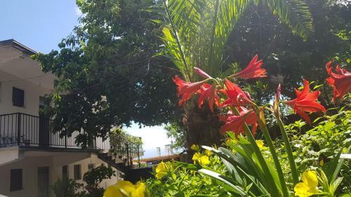 Hotel Balani Bar Restorant