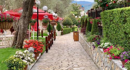 Hotel Palmanova Resort