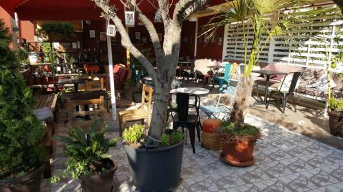 Andre Hostel